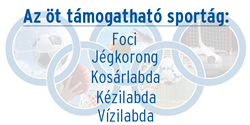 Látvány-csapatsportágak támogatása